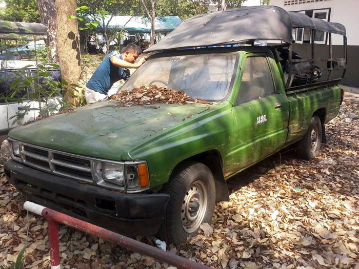 270559 chinook jiraput 24