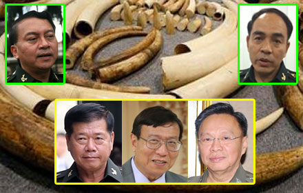 PIC elephantt 30 6 59 1