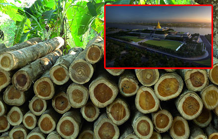 PIC maisukkk 21 7 59 4