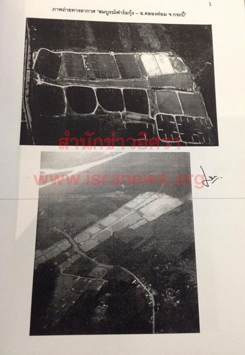 PIC ฟารมกง 2