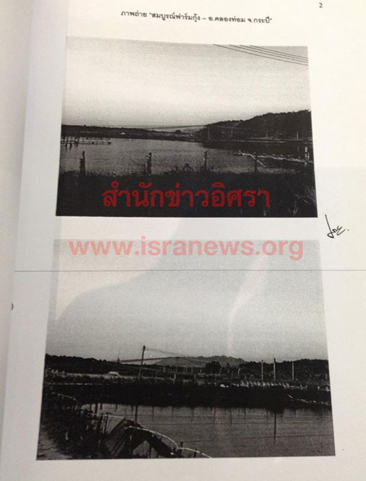 PIC ฟารมกง 3