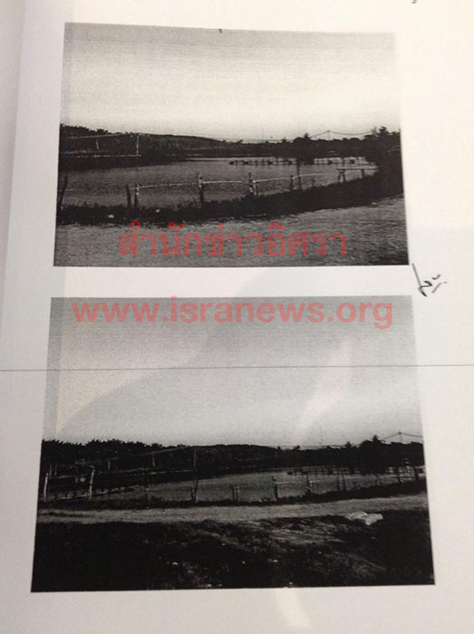 PIC ฟารมกง 4