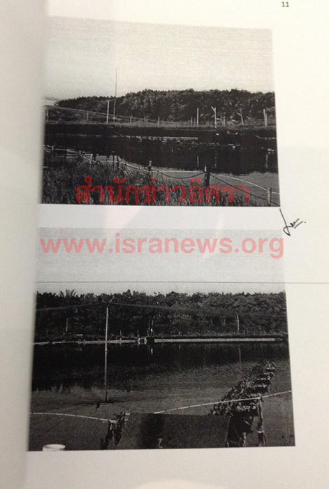 PIC ฟารมกง 6