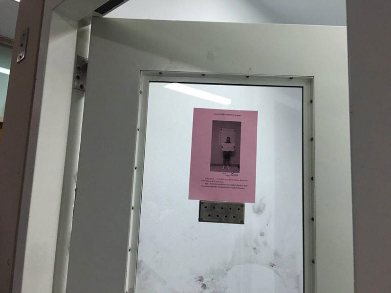 PIC ดเอสไอ 3