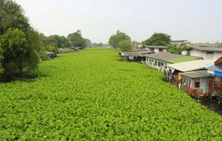 PIC puktop 20 10 59 4