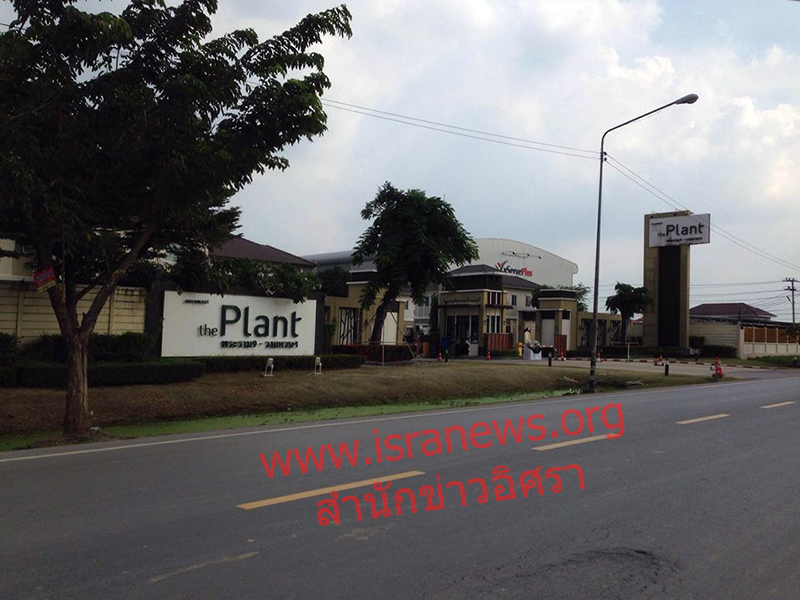 231159 K A Cubiic 08