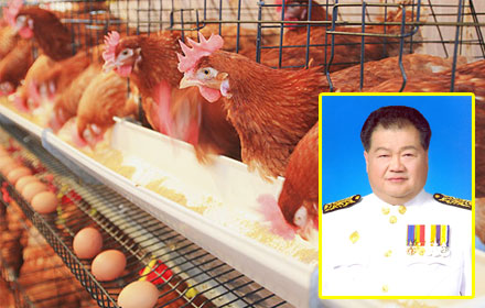 PIC kaipunkhaii 7 11 59 1