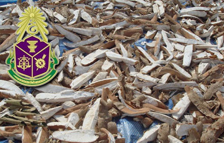 PIC munsenn 1 11 59 7