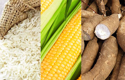 PIC ricerice 14 12 59 1