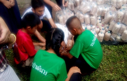 12647159 1558254694493515 4668195804573553325 n