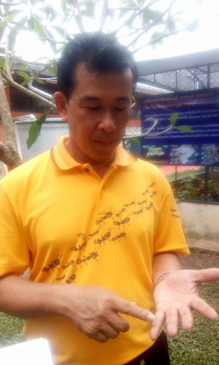 12650982 1558254877826830 3365475630237382822 n