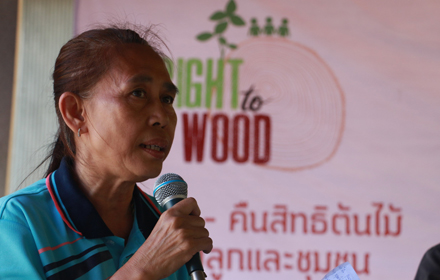 Right to wood1630559