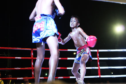 ข่าวมวยไทย