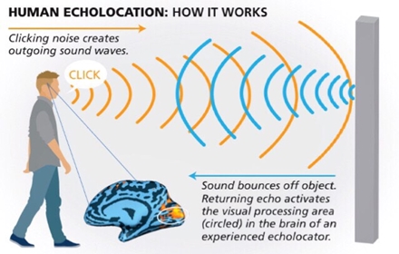 Beacon for the Blind
