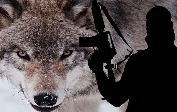 lone wolf terrorists1