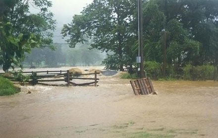 PIC namtuamm 10 1 60 1