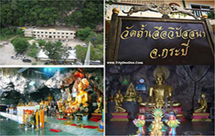 PIC wattumtiger 16 1 60 1