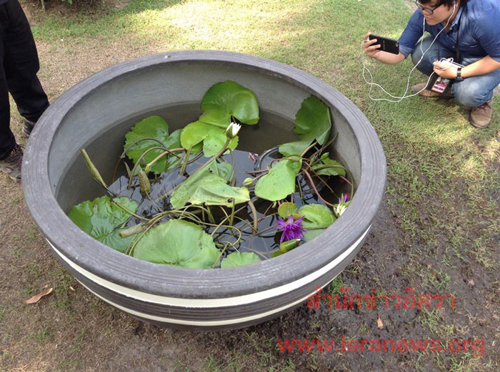 PIC อางบวแตก 2