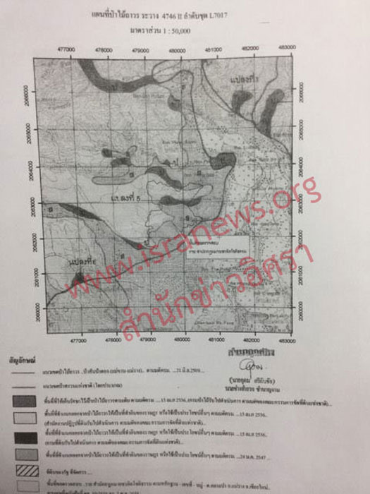 PIC แมวาง 1