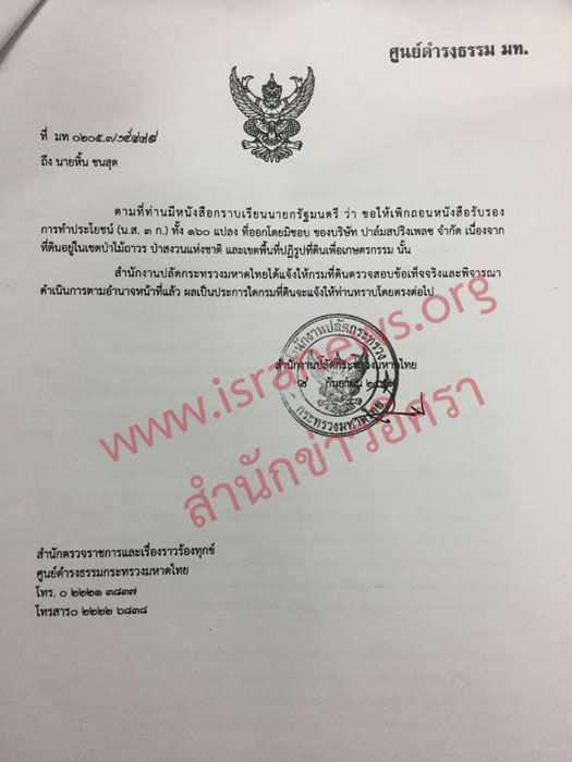 PIC แมวาง 2