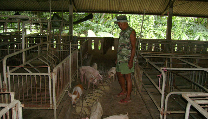 PIC บานทรายขาว 1