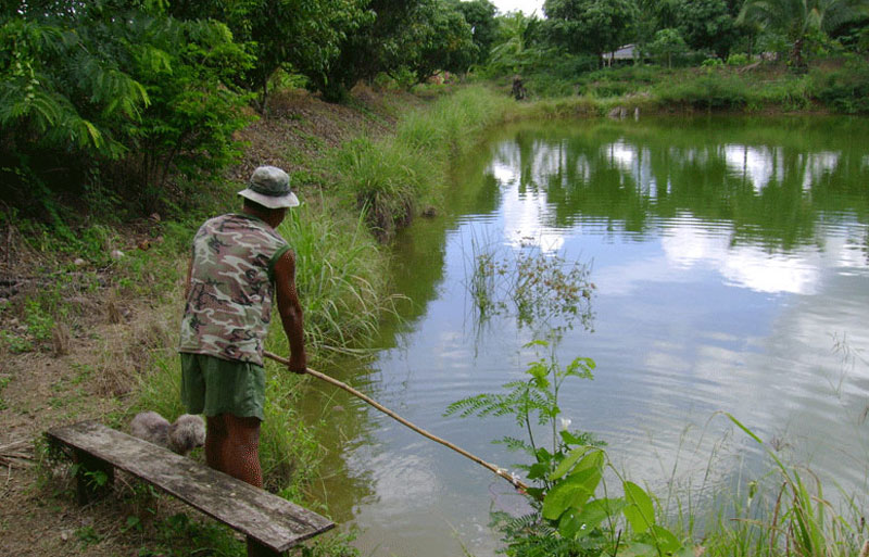 PIC บานทรายขาว 2