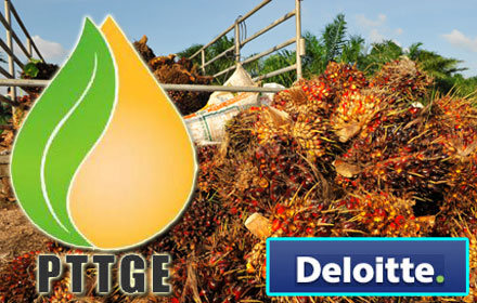 PIC deloid 12 8 60 1