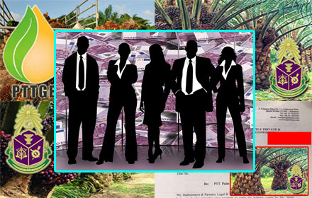 PIC pttgepalm 13 8 60 4