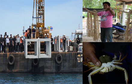 PIC poopoo 24 9 60 1