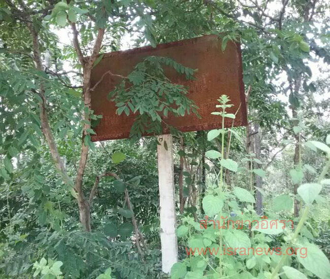 PIC ปาขอนแกน 2