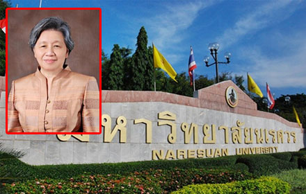 PIC naresuan 6 10 60 1