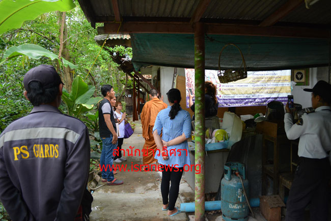 picpicddweee0028 1 18