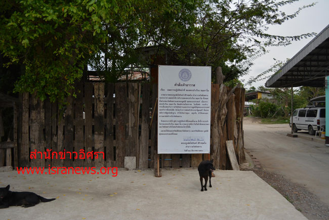 picpicddweee0228 1 18