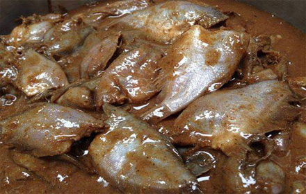 pichdjdjujujj17 4 18