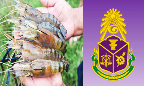 picshshshshsh7 10 18