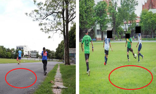 picddddfdfdfffddfdfdf