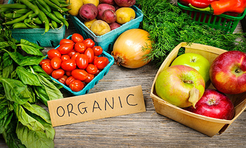 270518 Organicfood