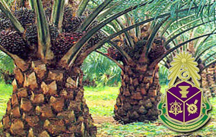 PIC nacccdm 25 5 61 1