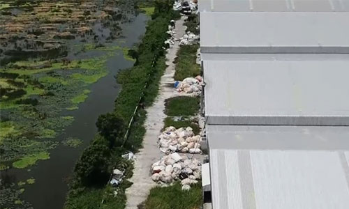 PIC tingkaya 19 6 61 1