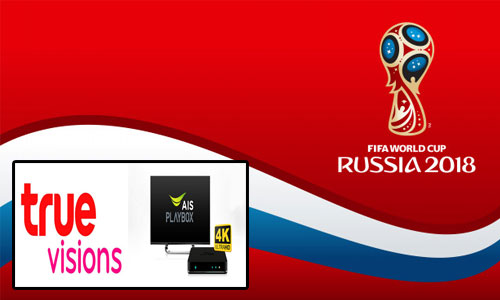 PIC trueais 29 6 61 772221