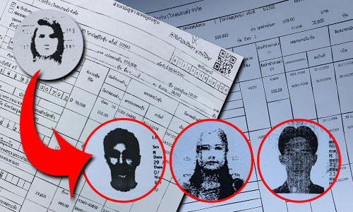 PIC virogreen 14 6 61 1