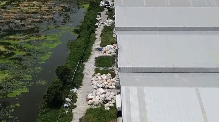 PIC ทงขยะนำเสย 2