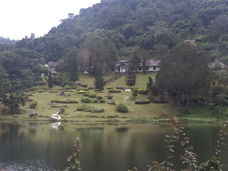 PIC ดเอสไอบก 2