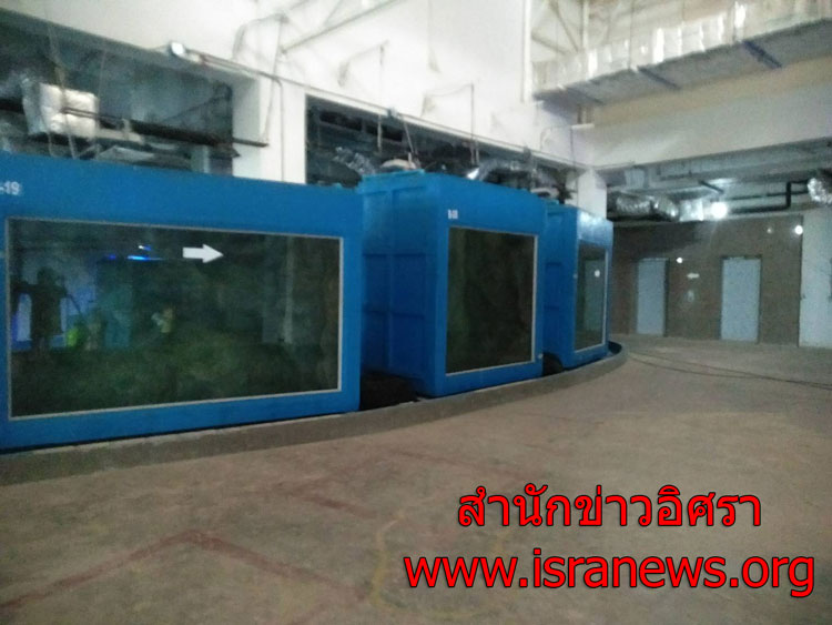 PIC ลาสดหอย 3