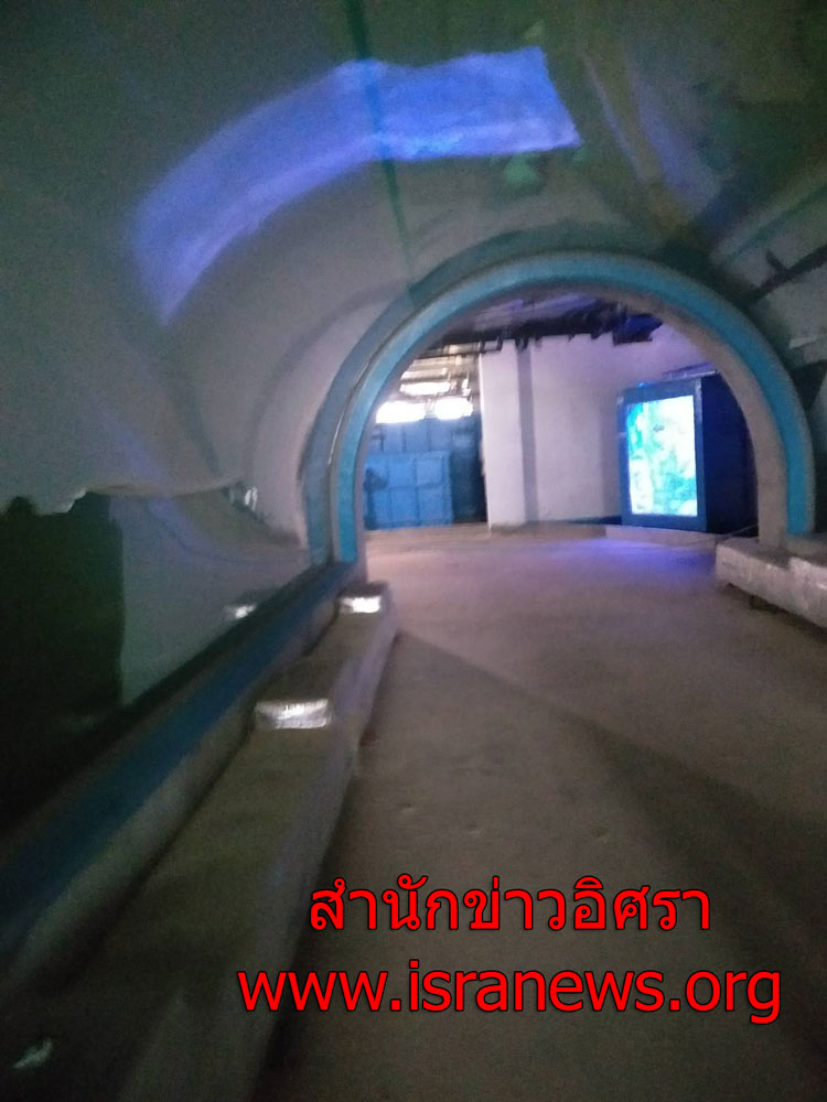 PIC ลาสดหอย 4