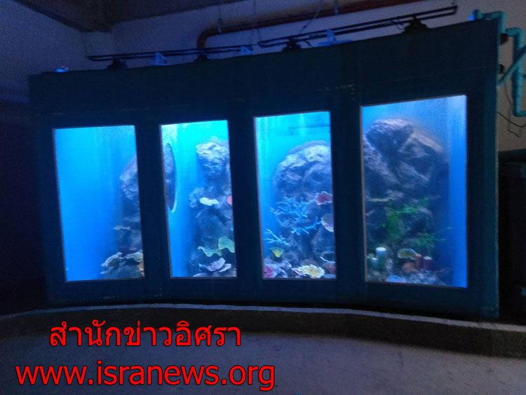 PIC ลาสดหอย 9