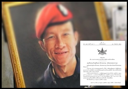 samank13 fill 500x478