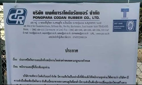 picgdgdgdgdggd24 12 19