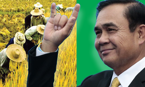 picpdpdpdpdpdpdp2 1 20