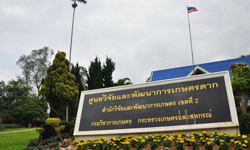 picpeyryry06607 4 19